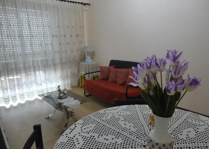 Apto Paio-pires 公寓 塞沙尔