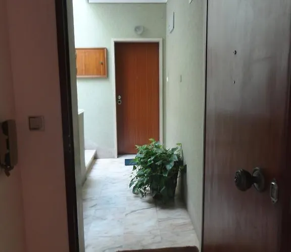 Apto Paio-pires 公寓 塞沙尔